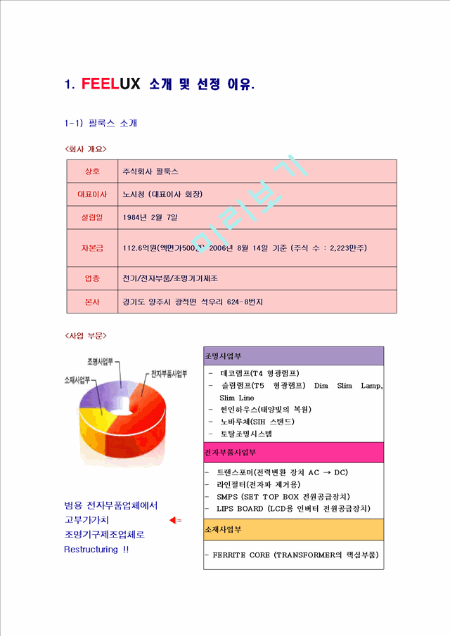 국제마케팅 성공 기업 사례 - FEELUX의 사례와 새로운 전략 제언 레포트   (2 )